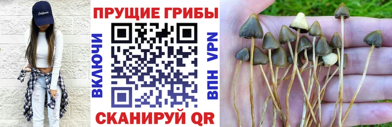 Галлюциногенные грибы мицелий  Валуйки 